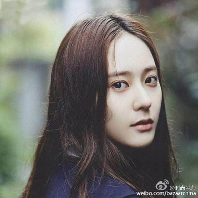 手枪与玫瑰